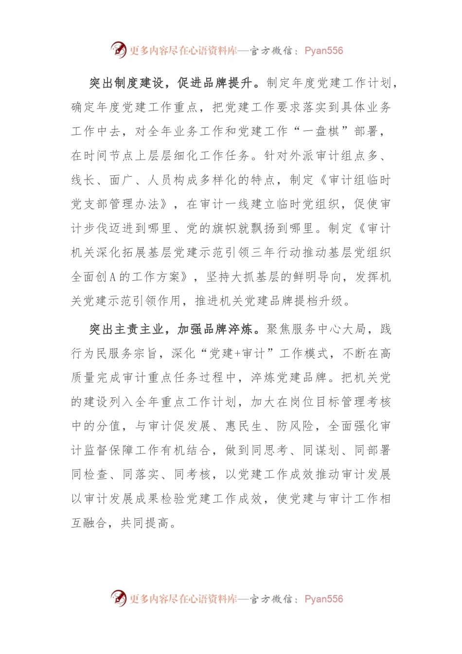 某市审计局特色党建品牌创建做法.docx_第2页