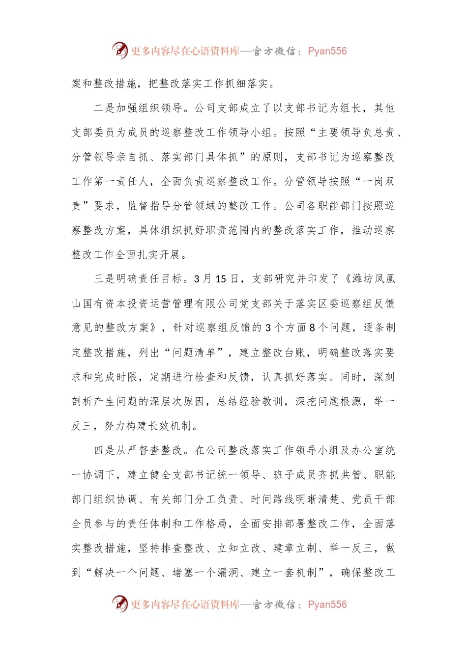 有限公司党支部关于巡察整改进展情况的通报.docx_第2页