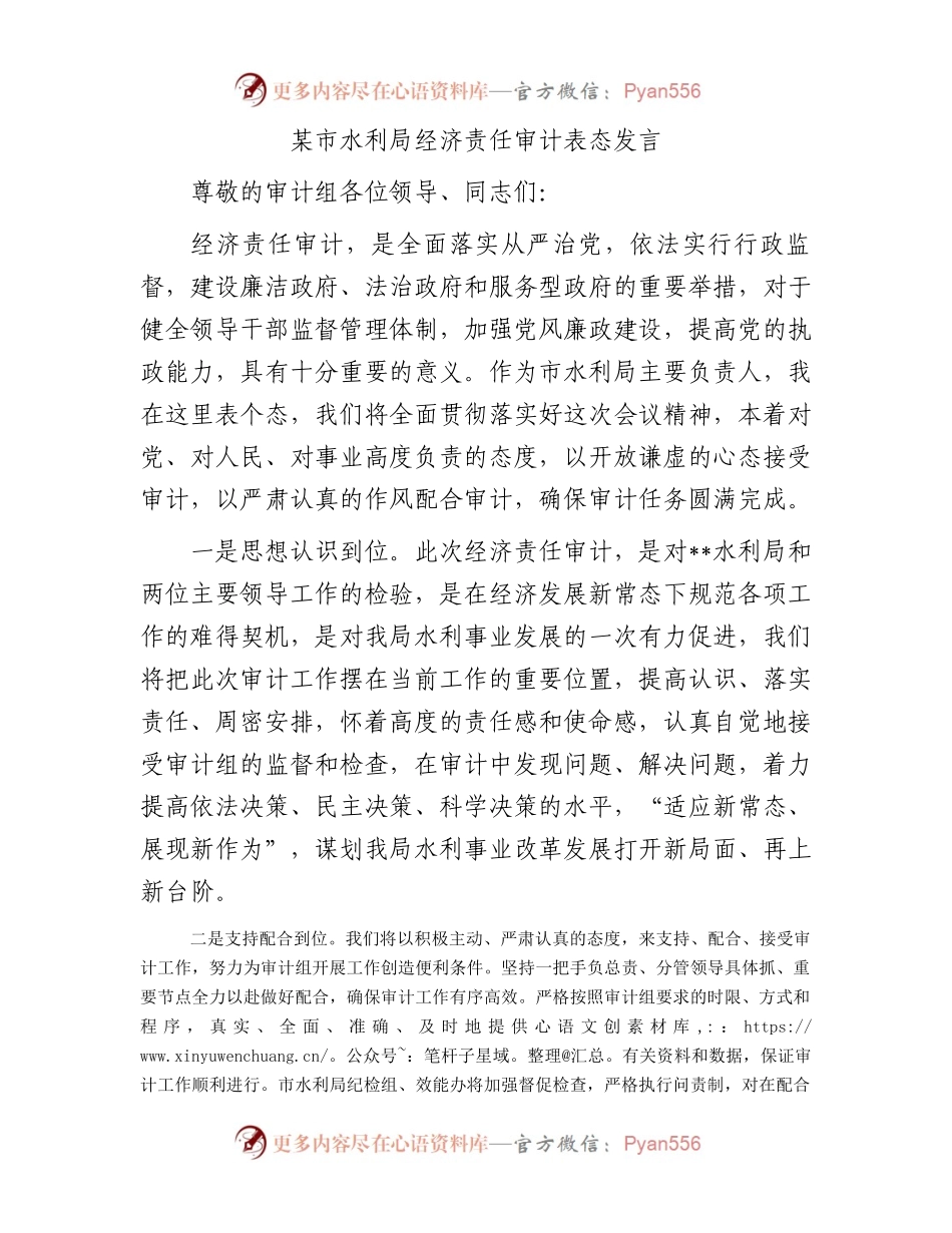 某市水利局经济责任审计表态发言.docx_第1页