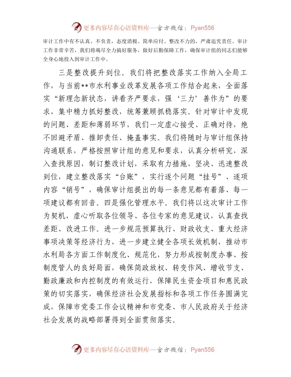 某市水利局经济责任审计表态发言.docx_第2页
