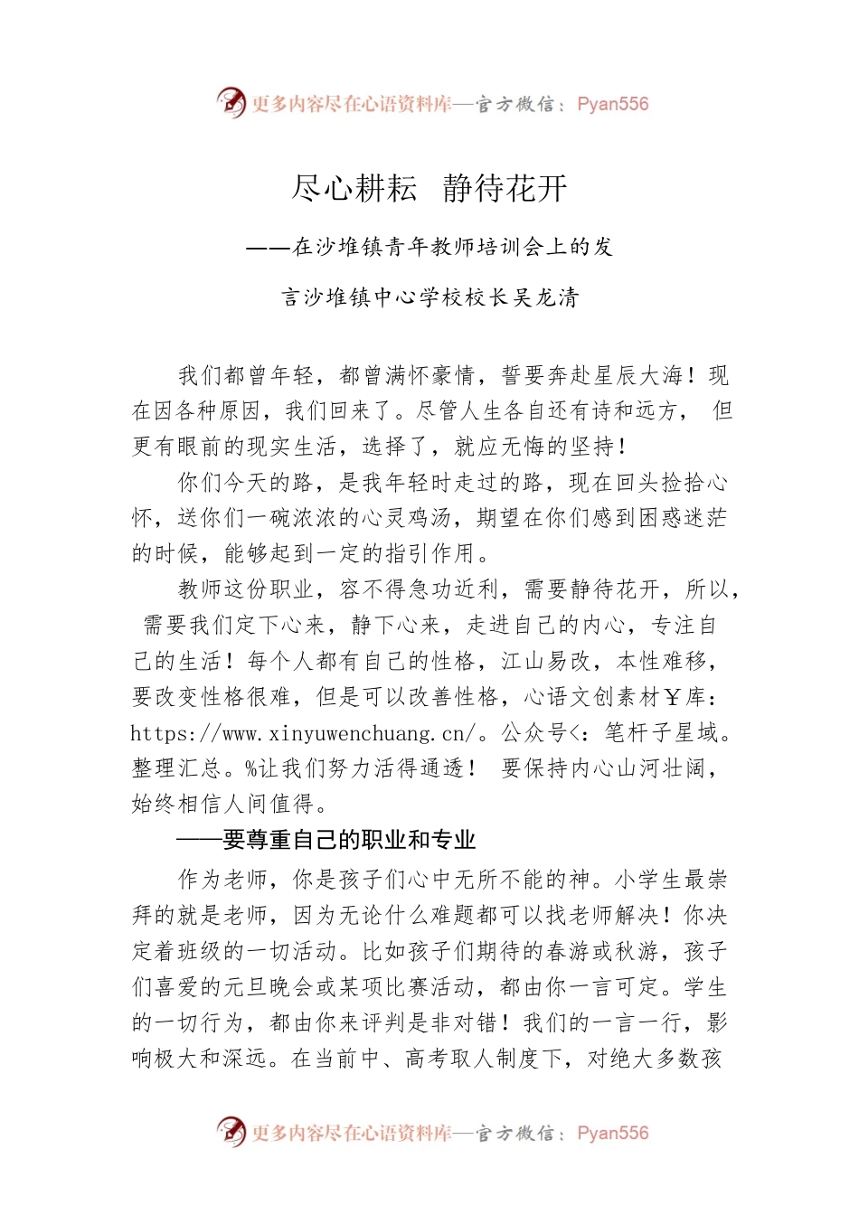沙堆镇中心学校校长吴龙清：在沙堆镇青年教师培训会上的发言.docx_第1页