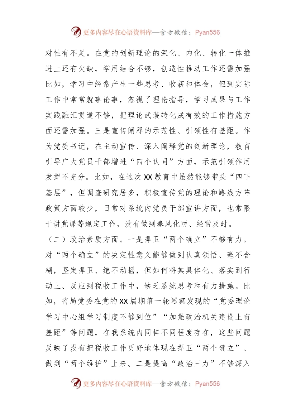 某市税务局长在2023年专题民主生活会上的对照检查检视剖析材料.docx_第2页