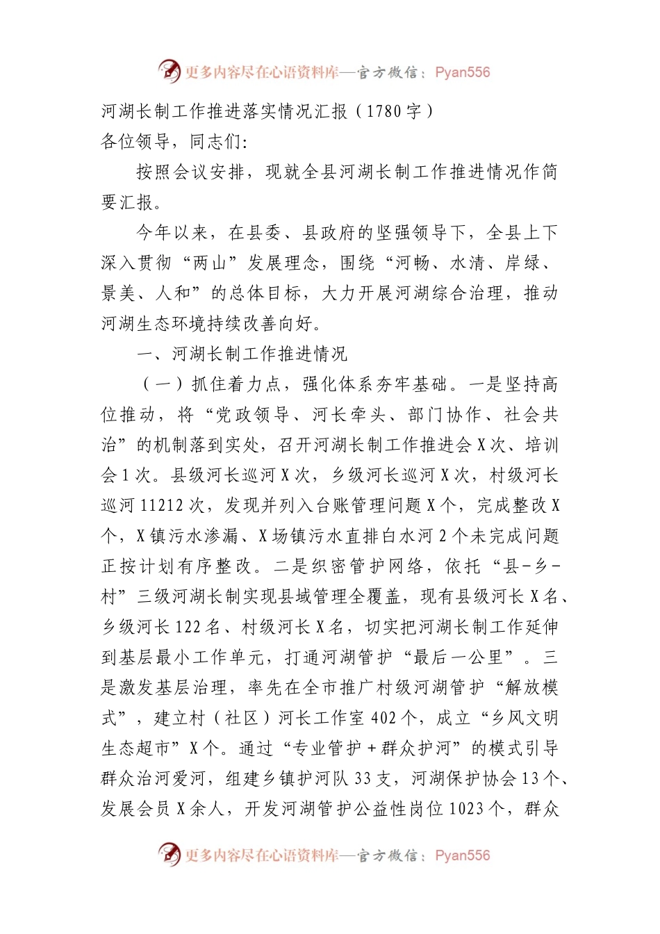 河湖长制工作推进落实情况汇报.docx_第1页