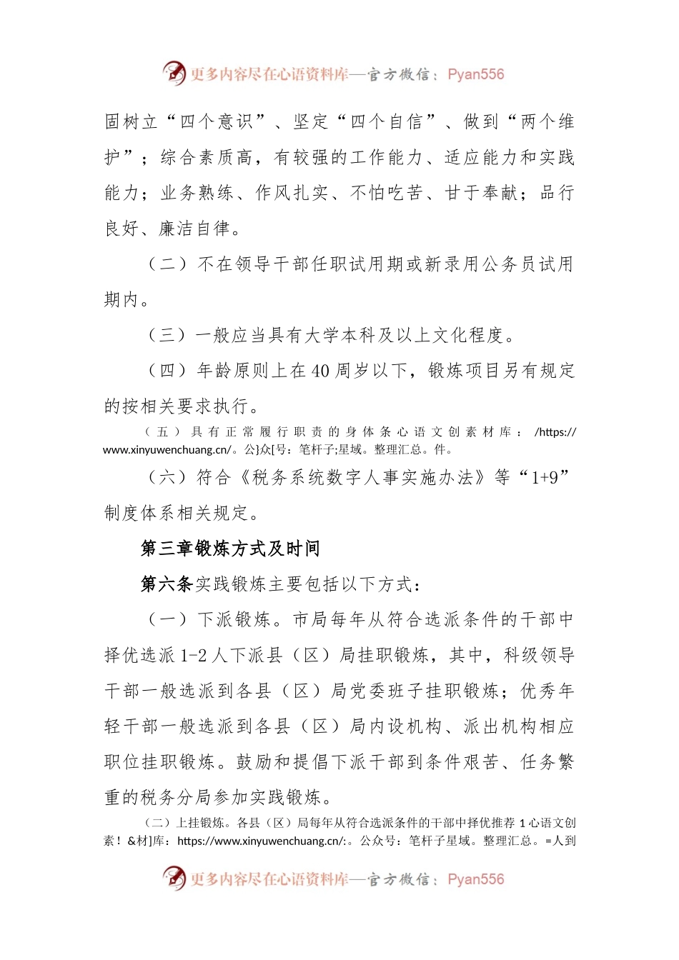 某市税务系统干部人才实践锻炼实施办法.docx_第2页