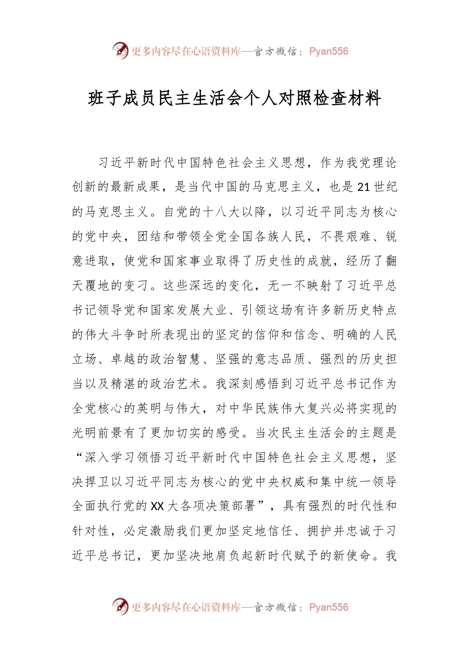 班子成员民主生活会个人对照检查材料.docx_第1页
