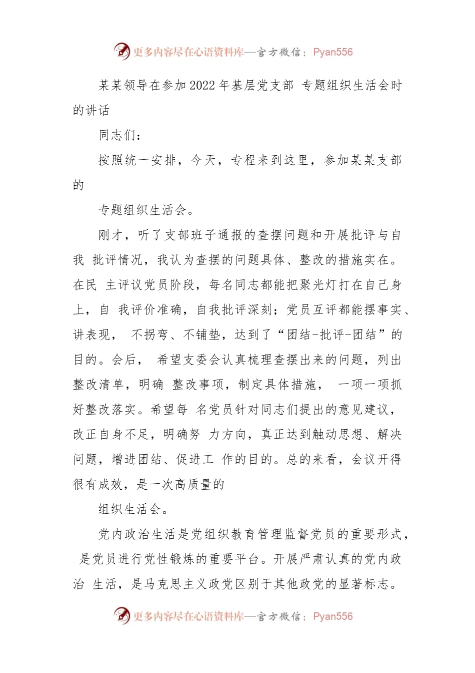 某某领导在参加2022年基层党支部专题组织生活会时的讲话.docx_第1页