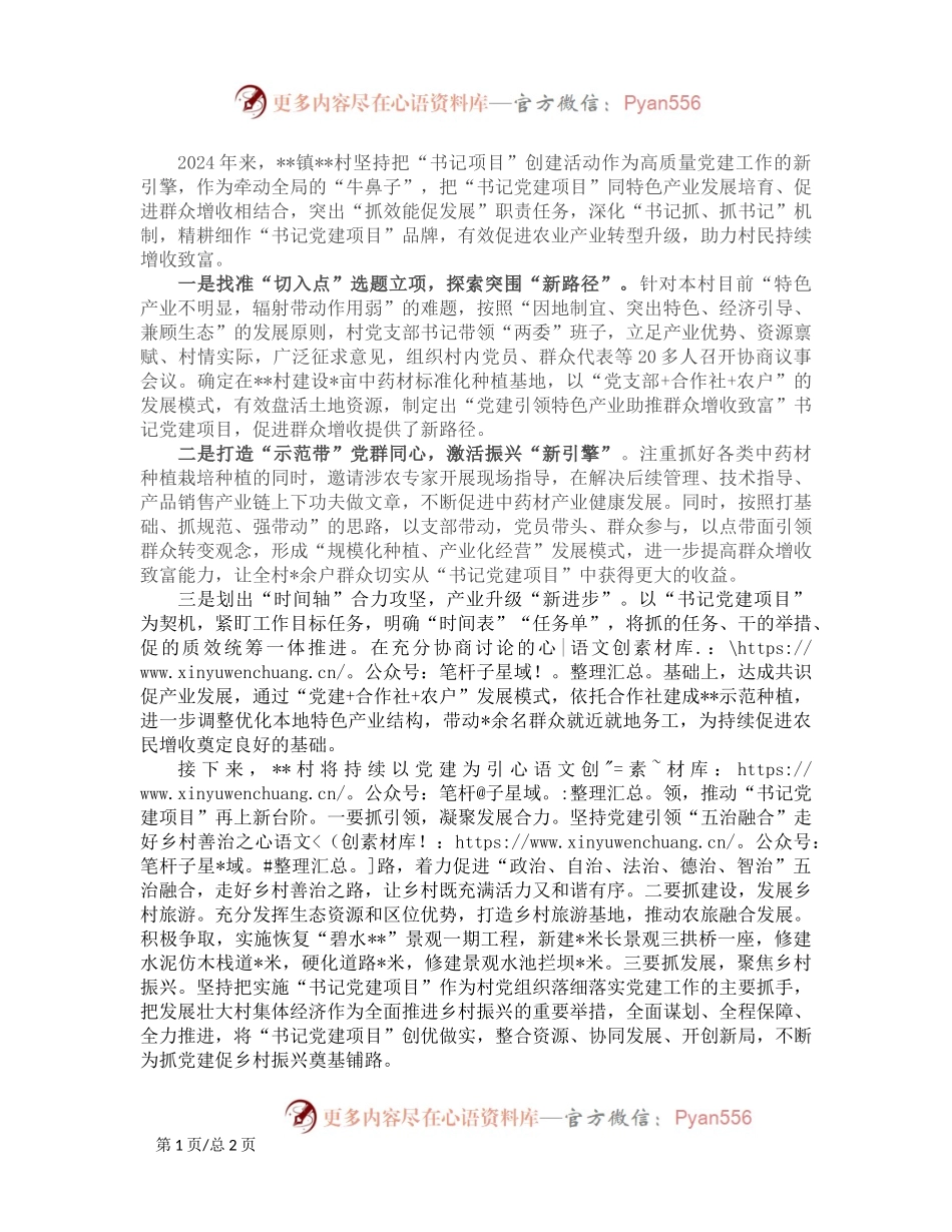 村开展“书记党建项目”情况汇报.docx_第1页