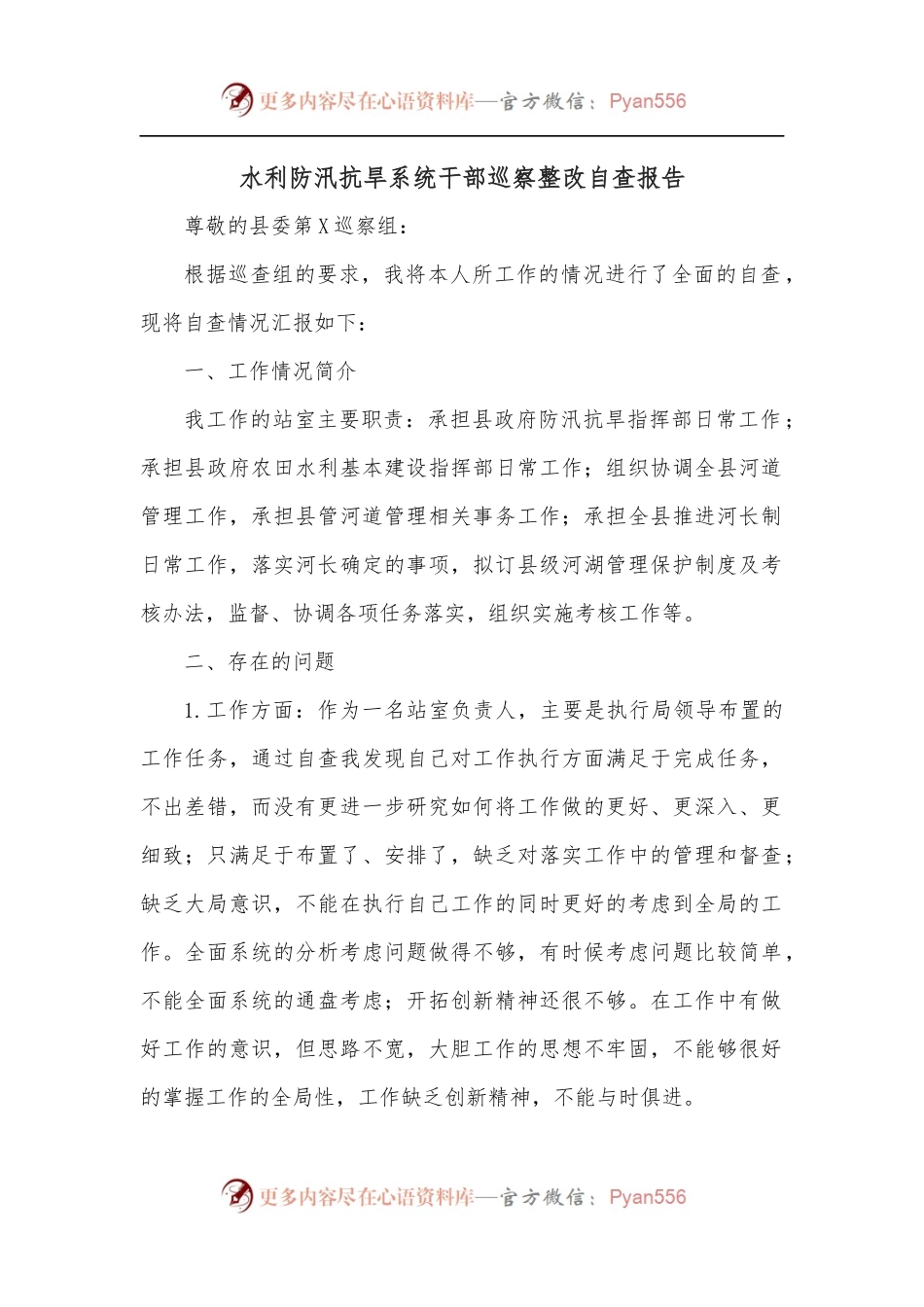 水利防汛抗旱系统干部巡察整改自查报告.docx_第1页