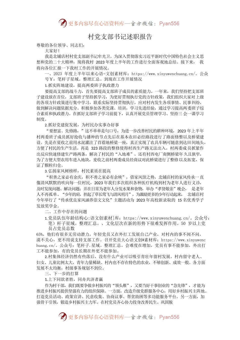 村党支部书记述职报告.docx_第1页