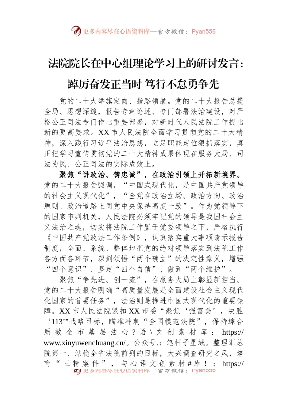 法院院长在中心组理论学习上的研讨发言：踔厉奋发正当时+笃行不怠勇争先.docx_第1页