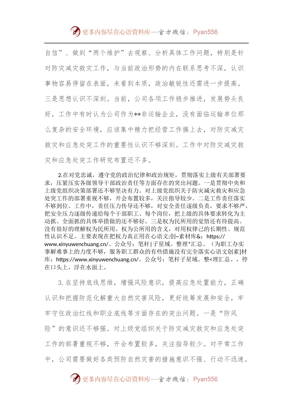 特大暴雨灾害追责问责案件以案促改民主生活会发言材料.docx_第2页