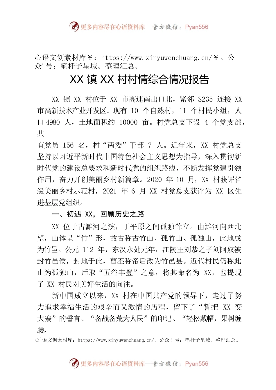 村情综合情况报告.docx_第1页