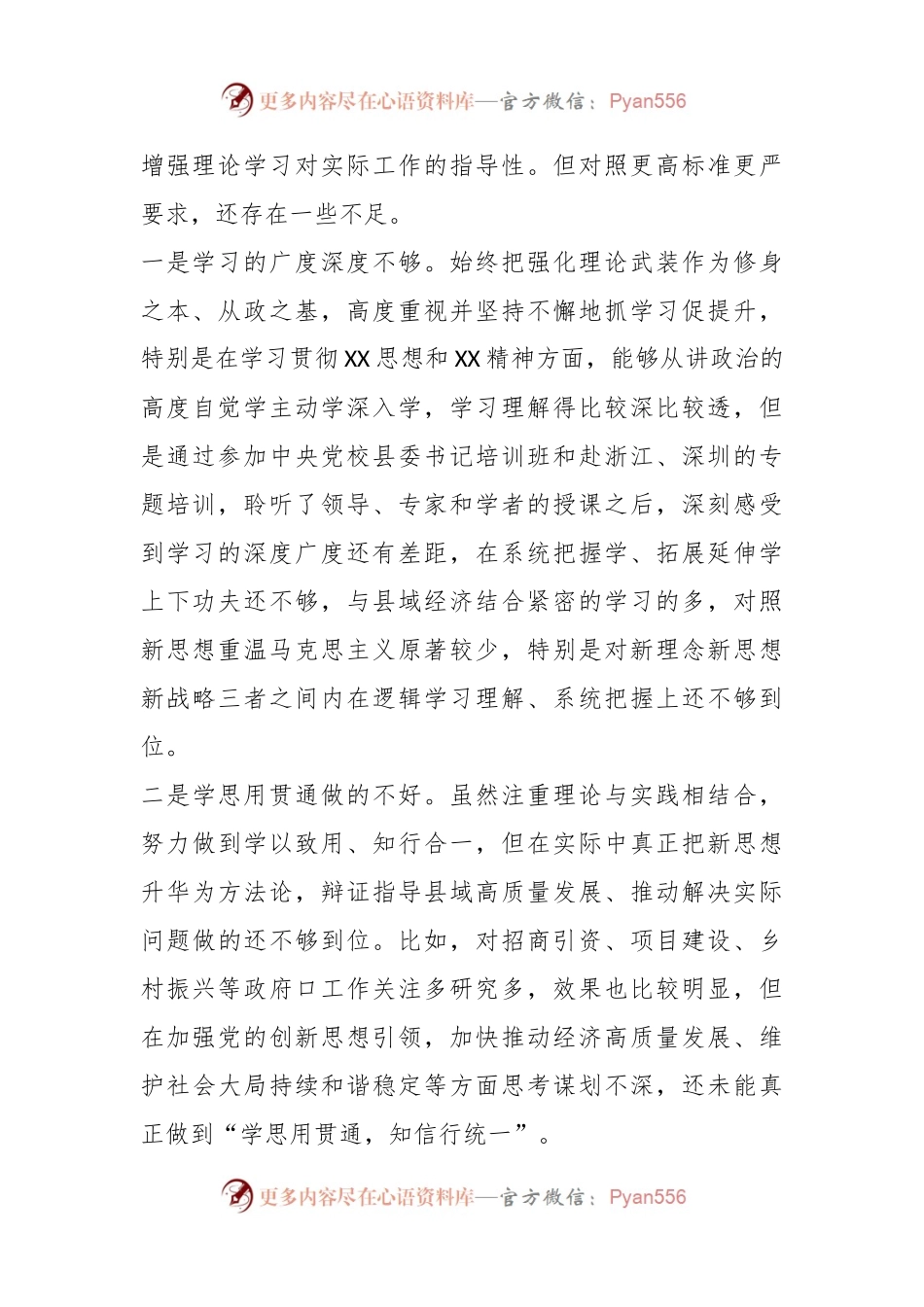 某县长2023年度专题民主生活会个人对照检查剖析发言稿提纲.docx_第2页