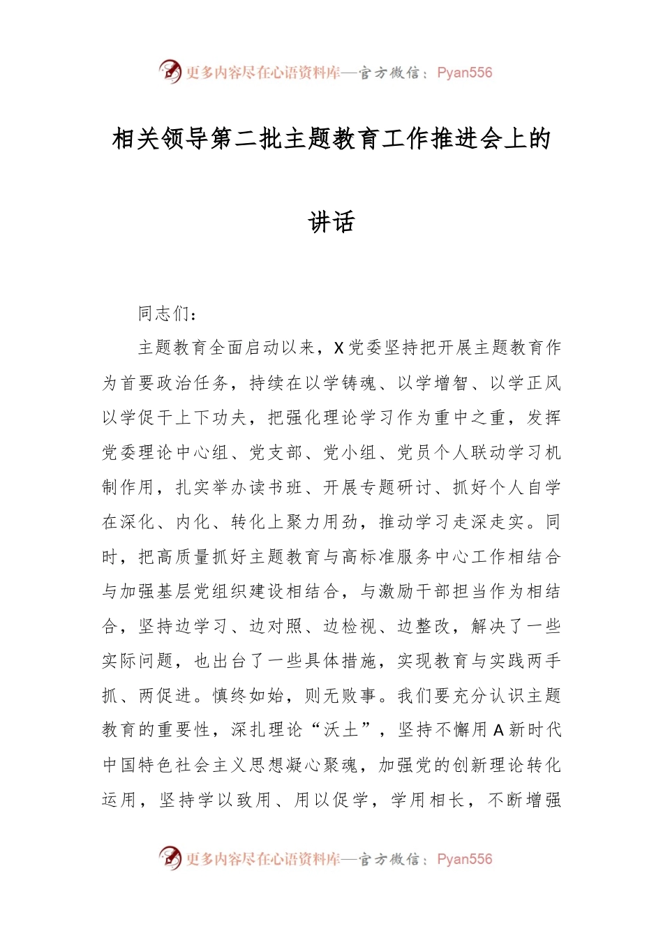 相关领导第二批主题教育工作推进会上的讲话.docx_第1页