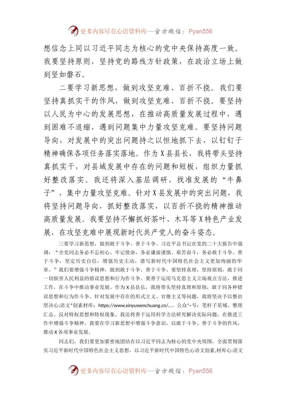 某县县长2023年主题教育读书班研讨发言提纲.docx_第2页