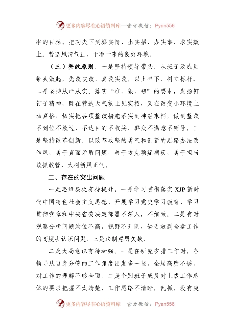 生活会18：党史学习教育组织生.docx_第2页