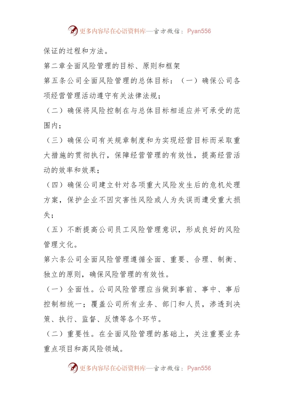 某企业全面风险管理办法（参考）.docx_第2页