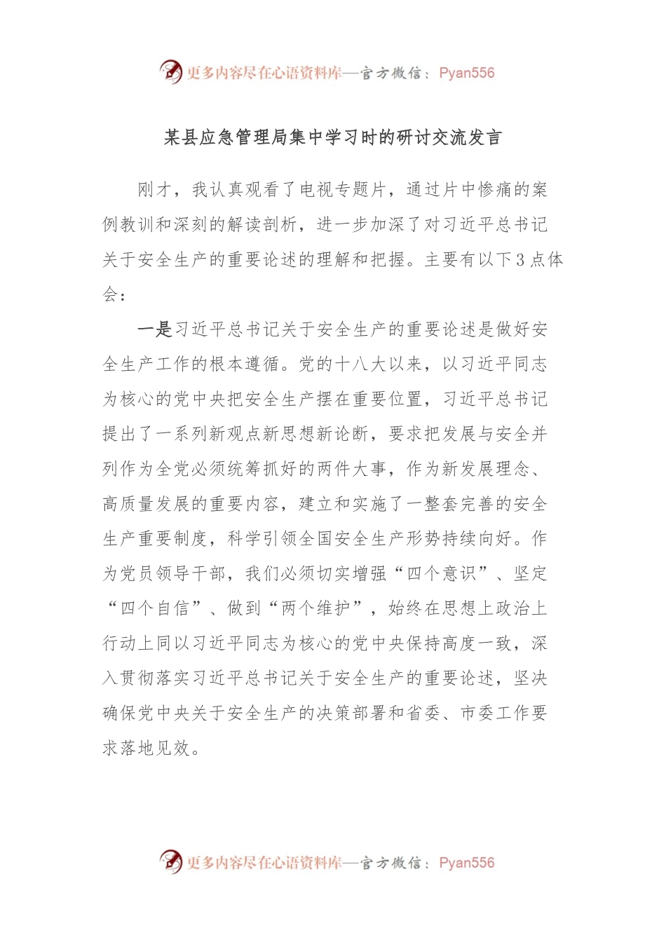 某县应急管理局集中学习时的研讨交流发言.docx_第1页