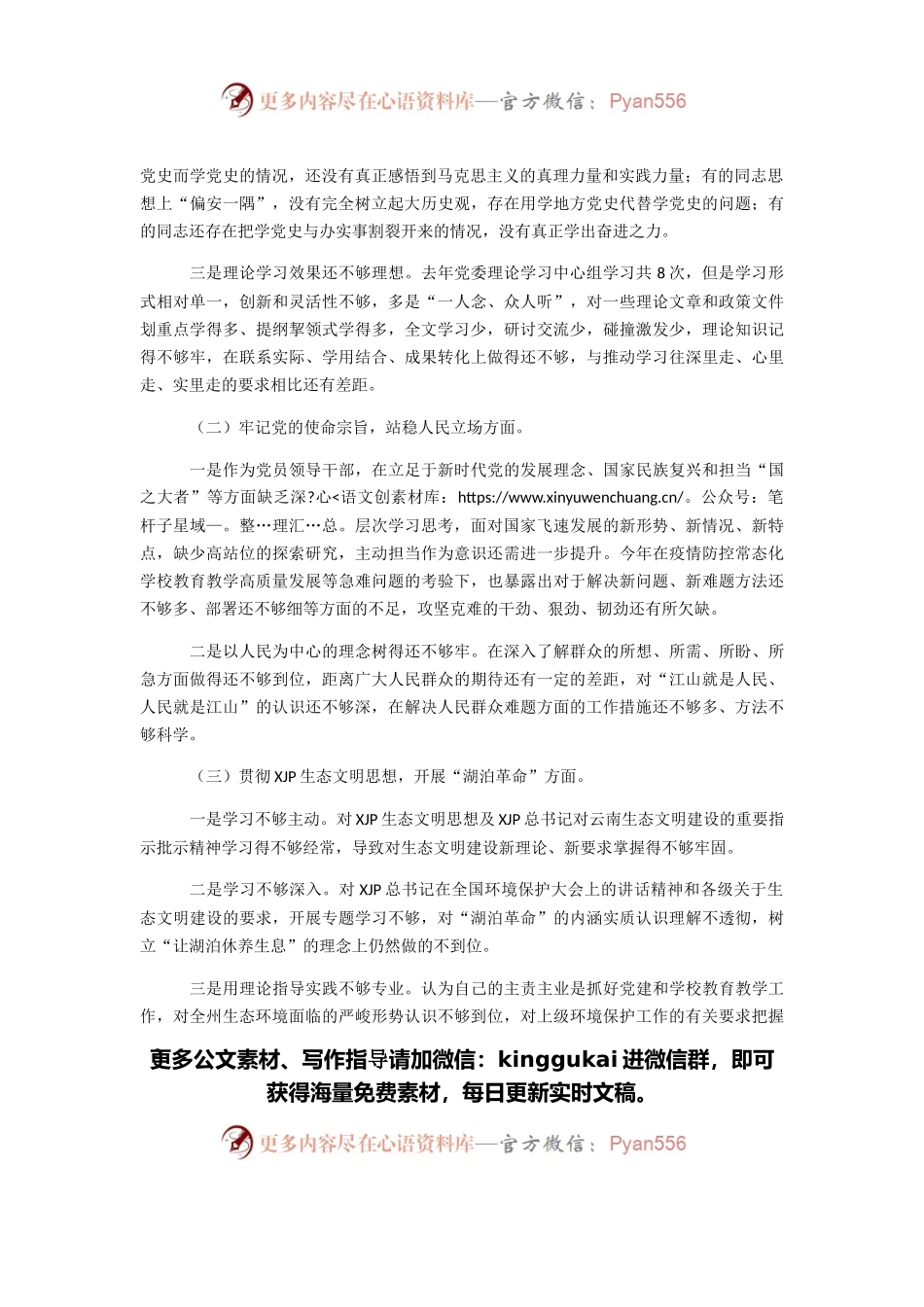 生态环境保护督察整改专题民主生活会.docx_第2页