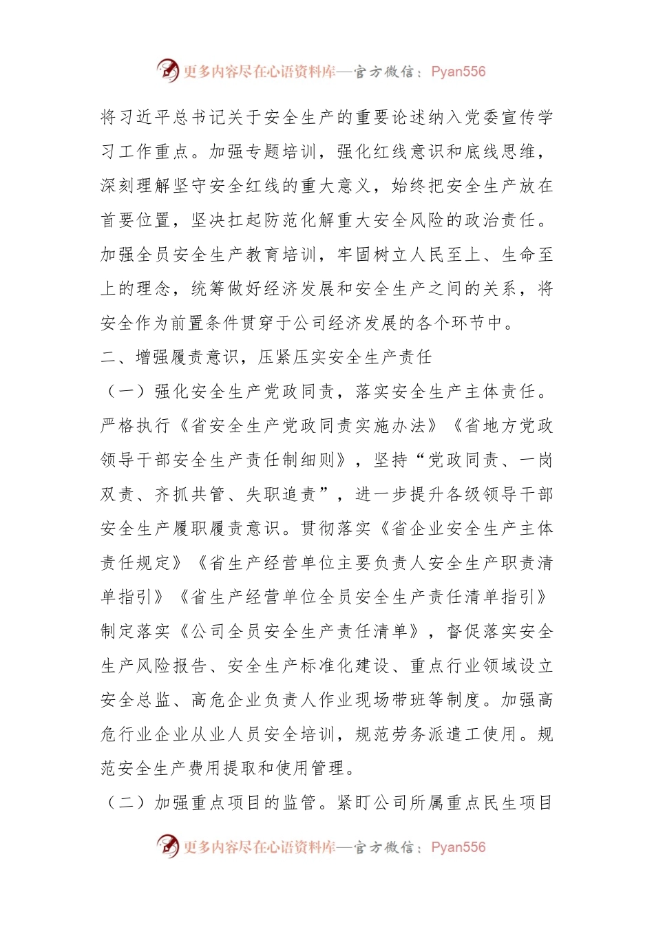 某公司20XX年安全生产工作要点.docx_第2页