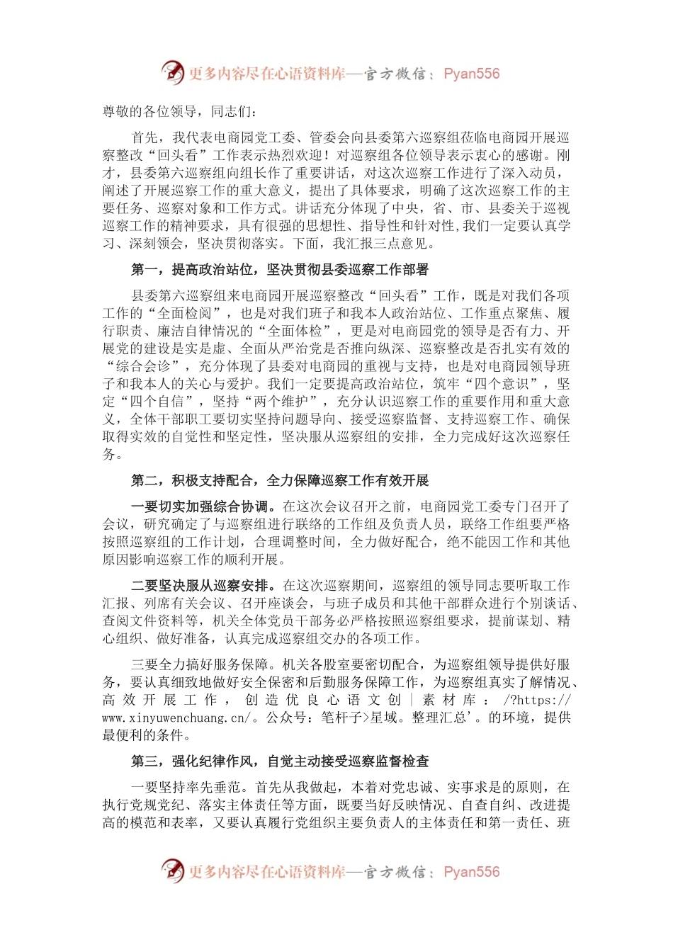 电商园在巡察整改动员会上的表态发言.docx_第1页