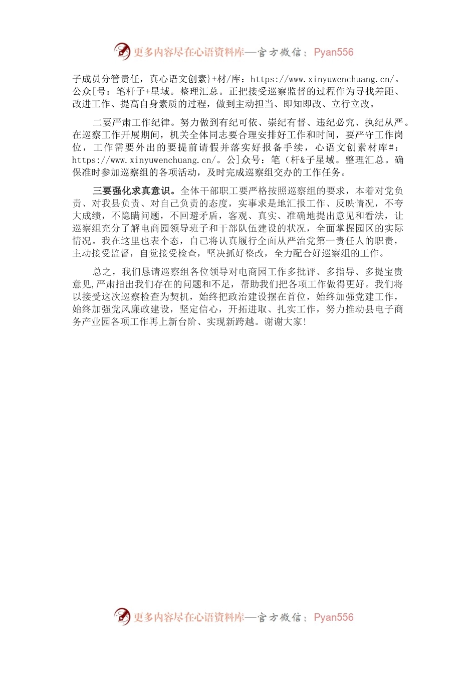 电商园在巡察整改动员会上的表态发言.docx_第2页