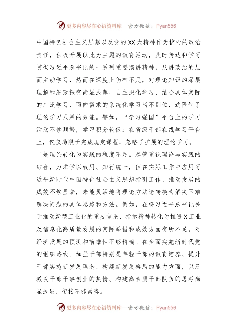 班子成员主题教育专题民主生活会发言稿提纲.docx_第2页