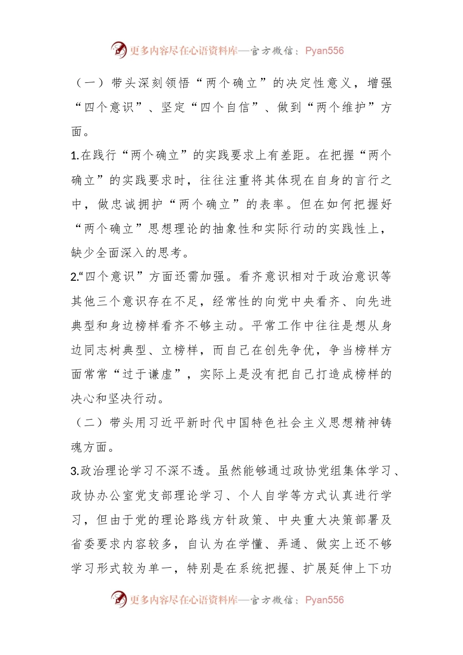 民主生活会个人对照检查材料发言提纲.docx_第2页