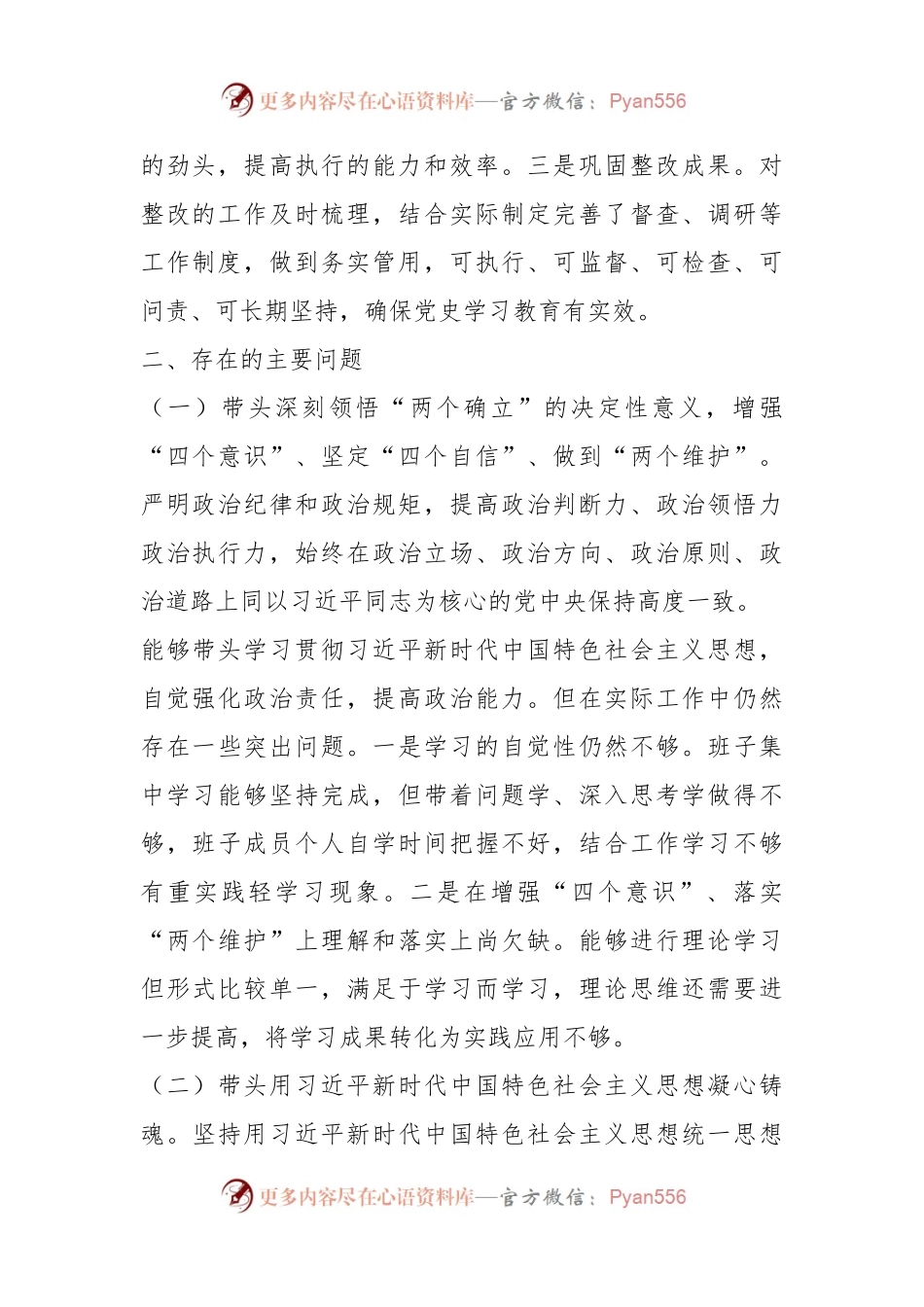 某园区领导班子年度民主生活会对照检查材料.docx_第2页