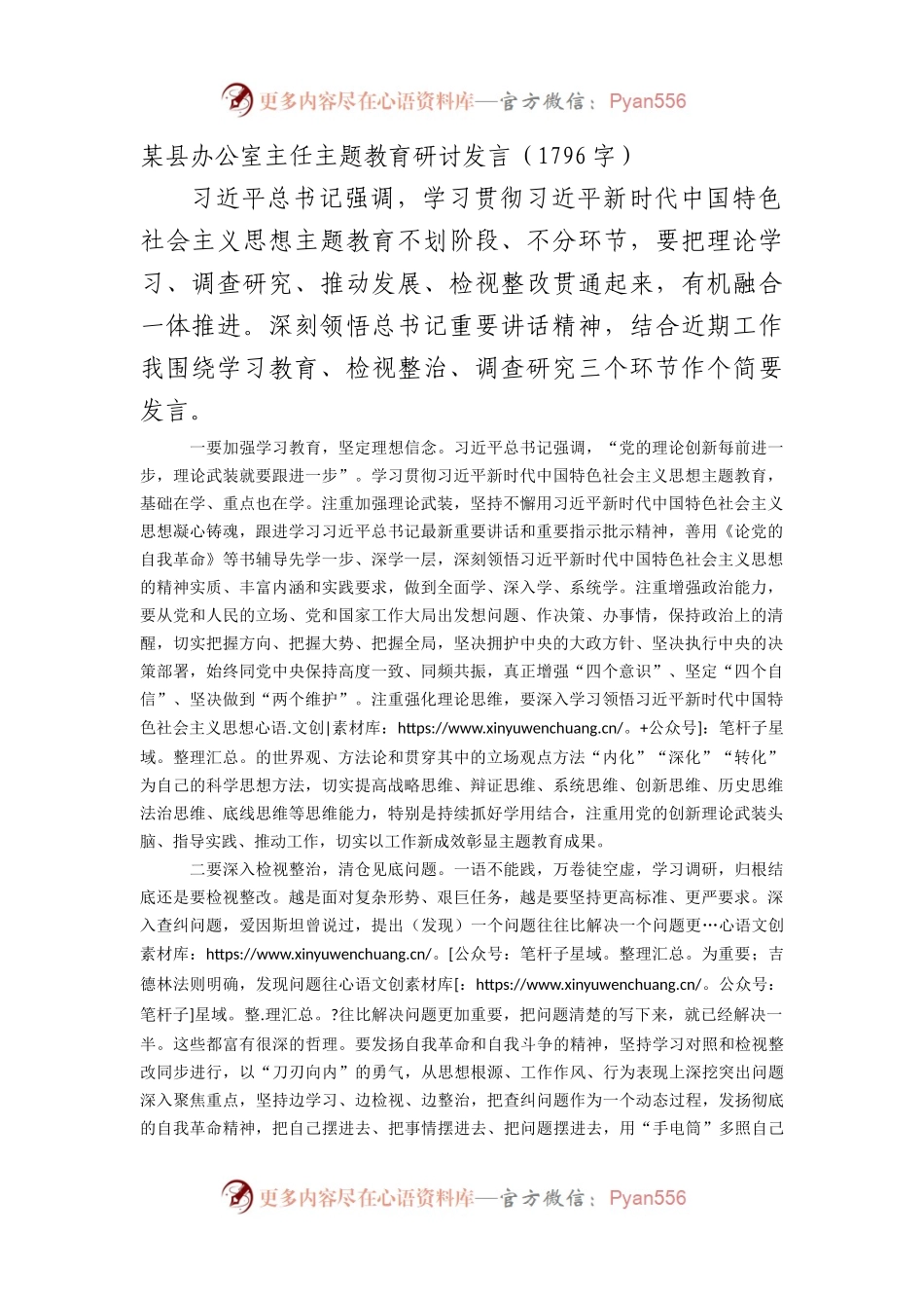 某县办公室主任主题教育研讨发言.docx_第1页