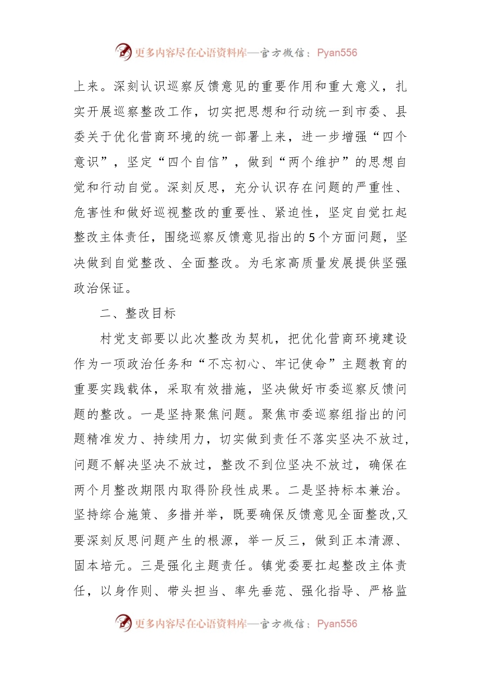 村支部委员会关于市委第一巡察组巡察反馈意见整改落实方案.docx_第2页