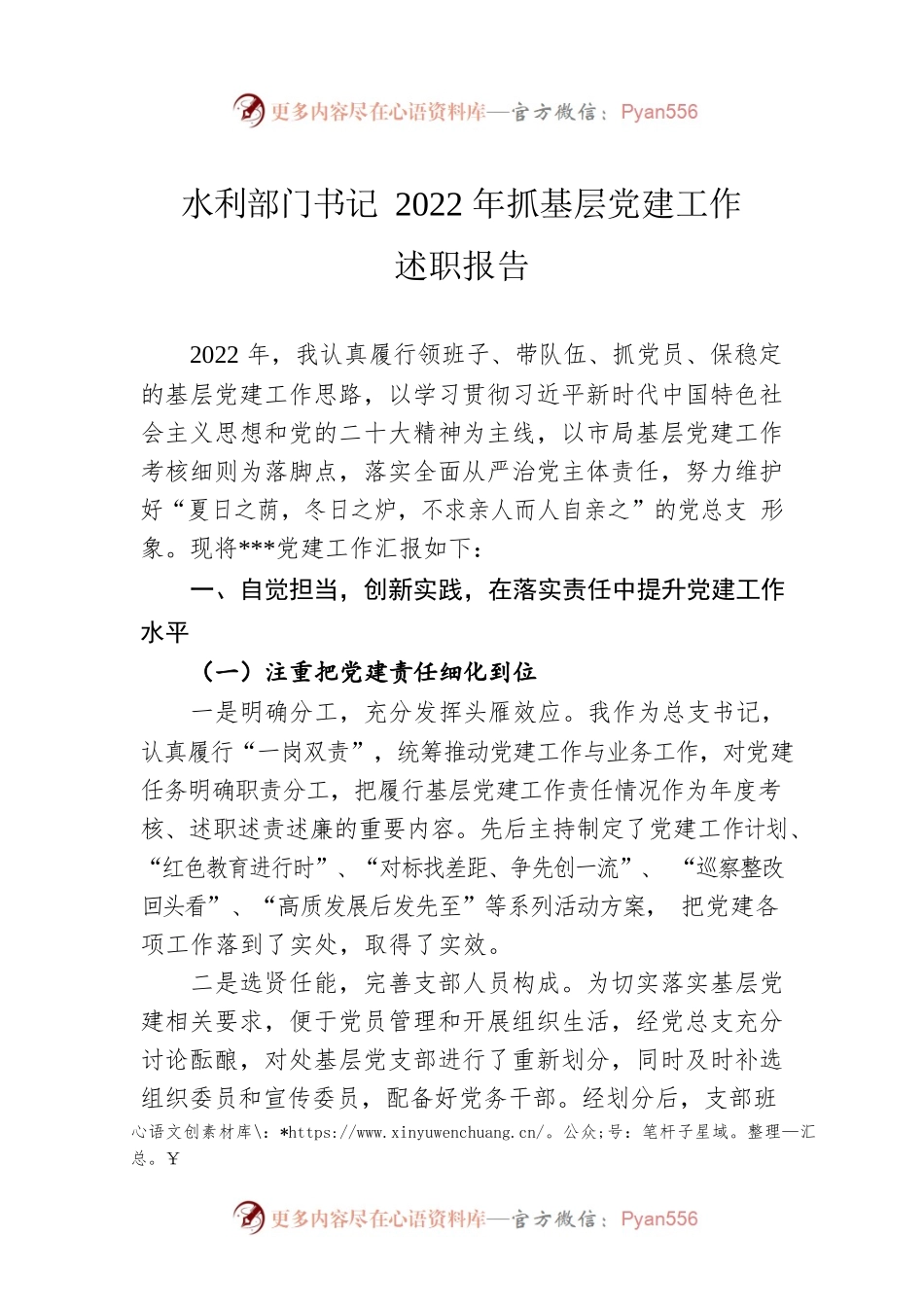 水利部门书记2022年抓基层党建工作述职报告.docx_第1页
