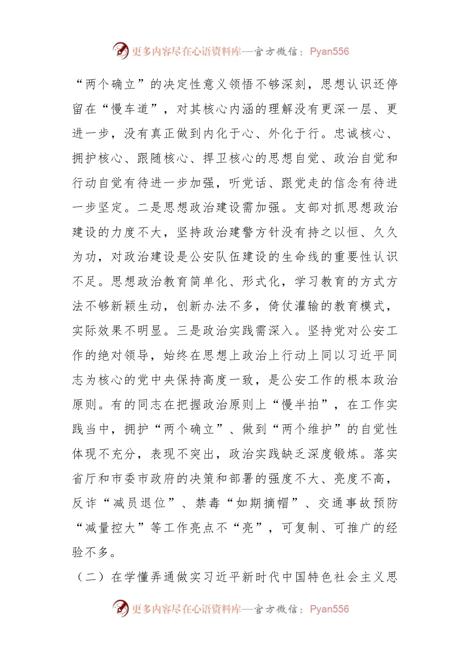 某市公安局机关支部年度组织生活会班子对照检查材料.docx_第2页