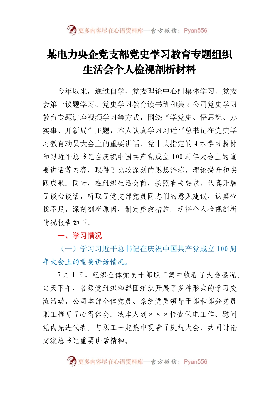 电力央企党支部党史学习教育专题组织生活会个人检视剖析材料.docx_第1页