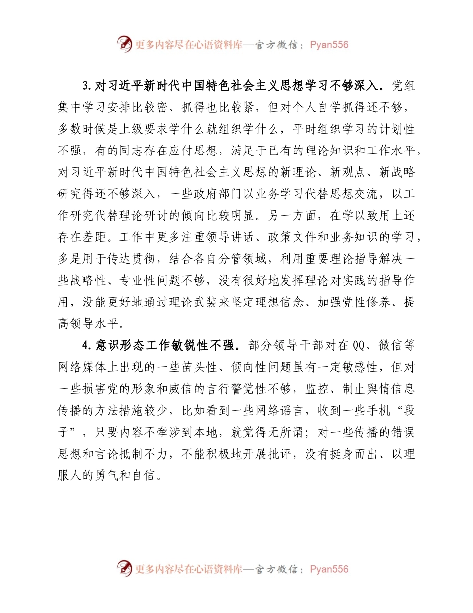 民主生活会班子对照检查材料（问题清单）.docx_第2页