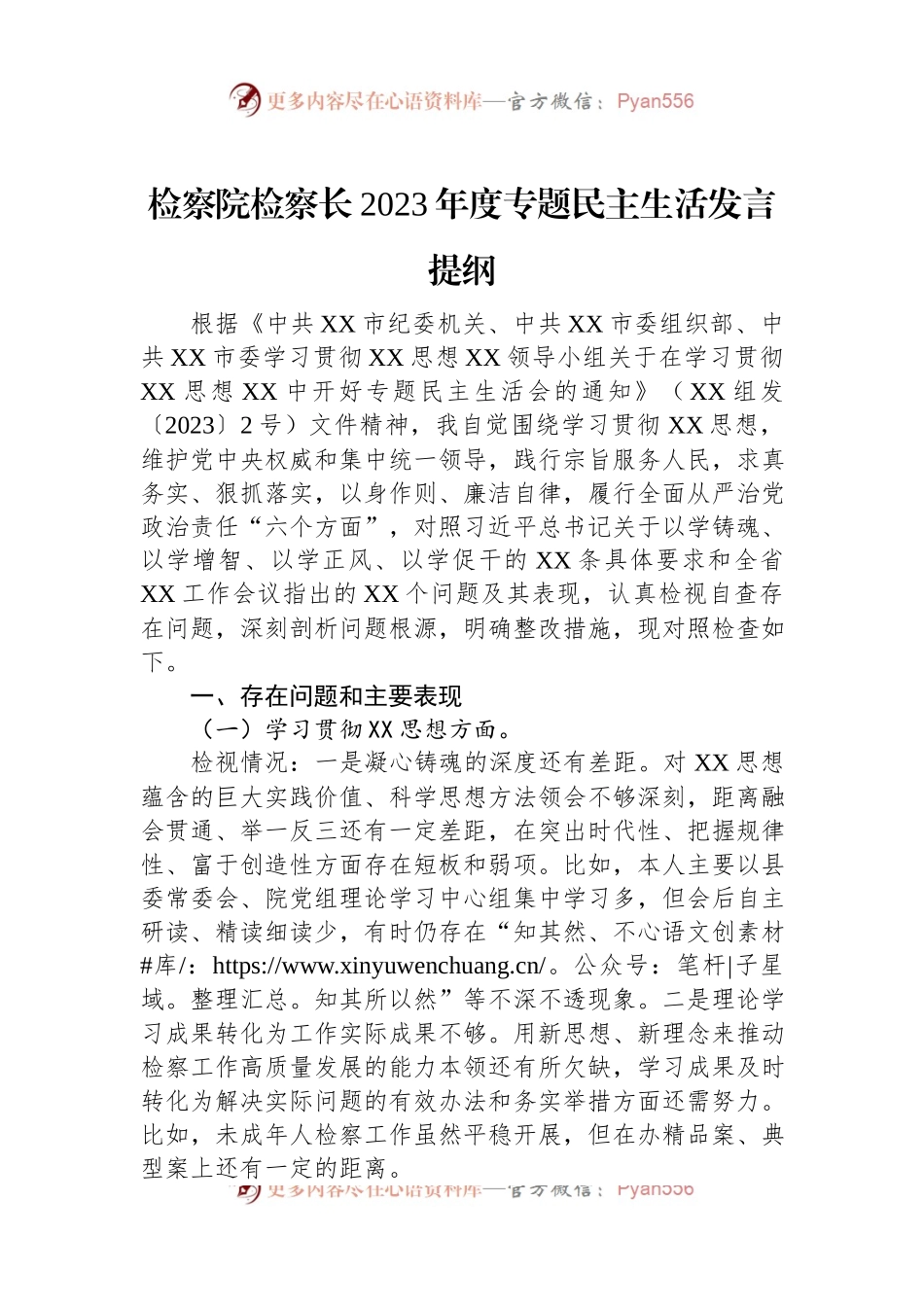 检察院检察长2023年度专题民主生活发言稿提纲.docx_第1页