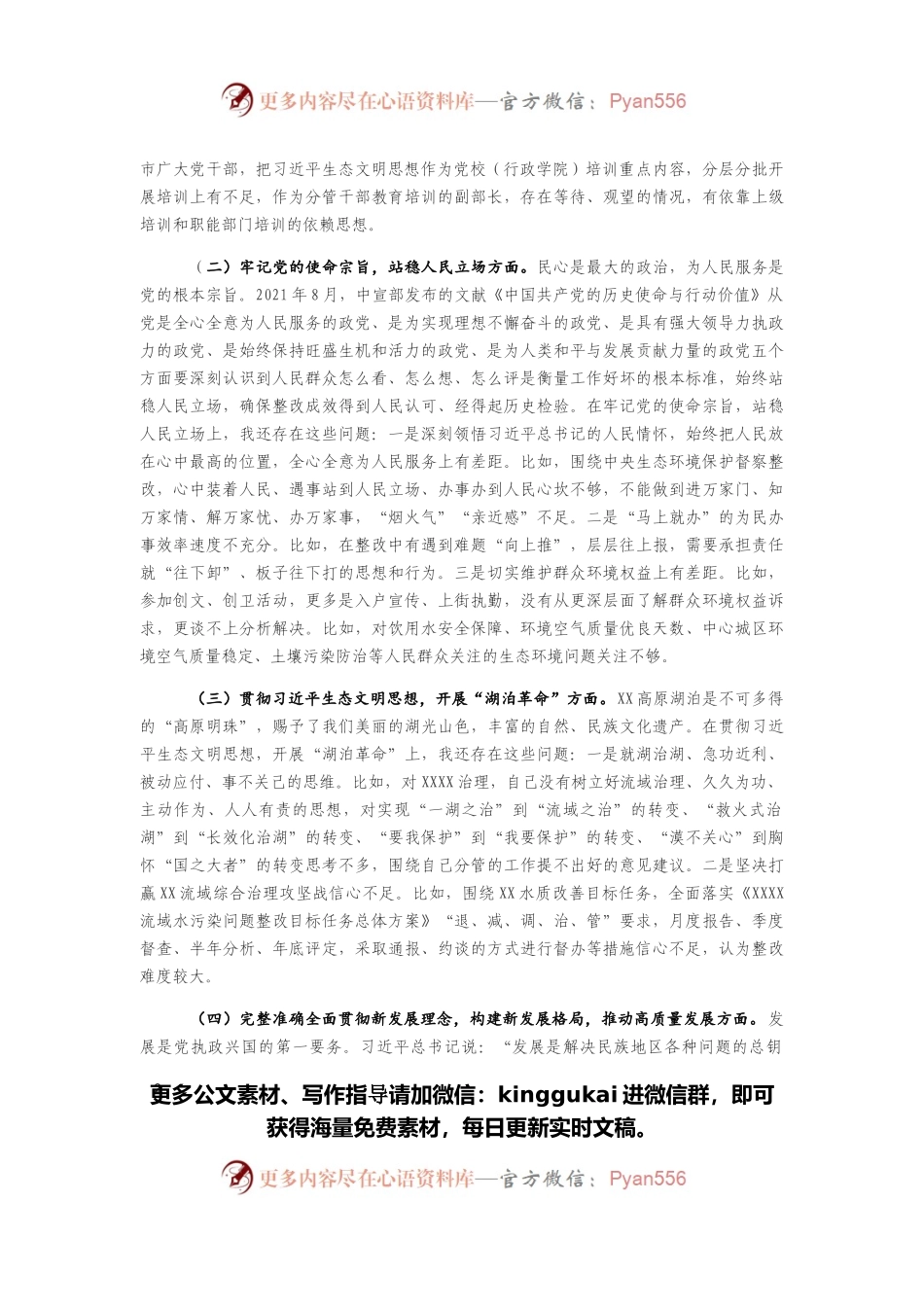 生态环境保护督察整改专题民主生活会个人发言提纲.docx_第2页