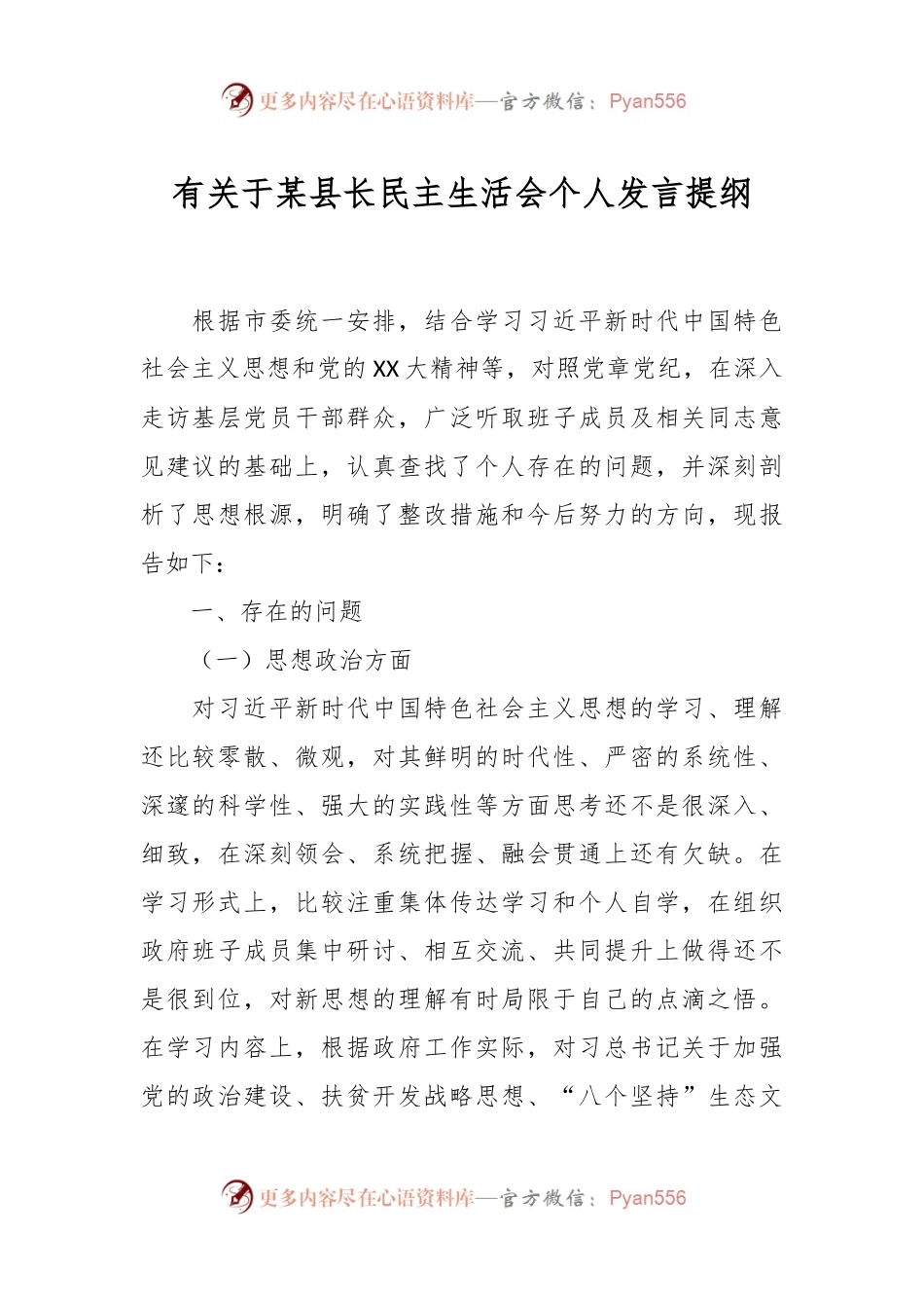 有关于某县长民主生活会个人发言提纲.docx_第1页