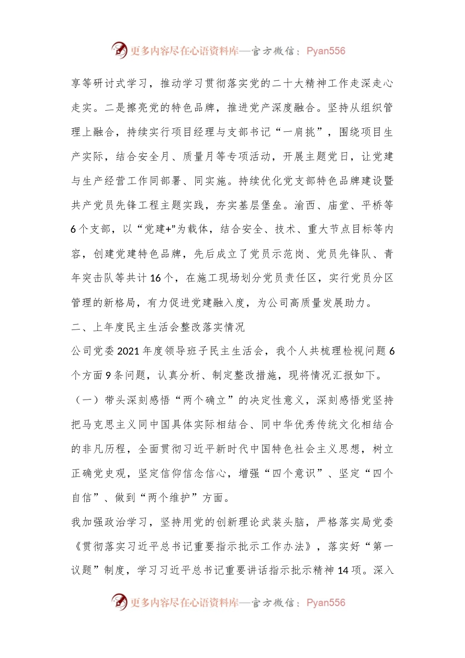 某国企党委书记2022年度民主生活会发言提纲.docx_第2页