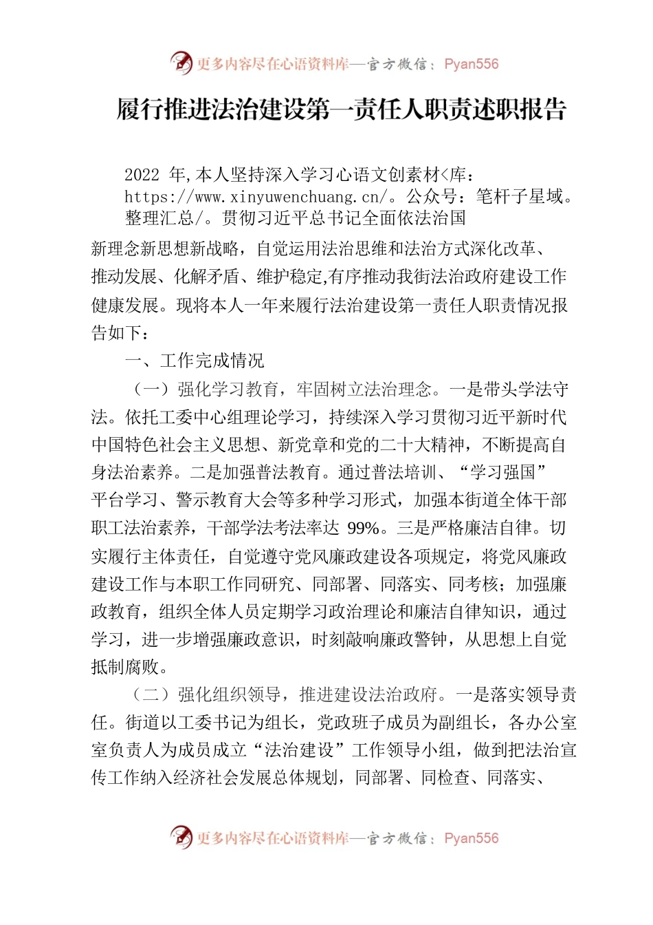 法治政府建设第一责任人履职报告.docx_第1页