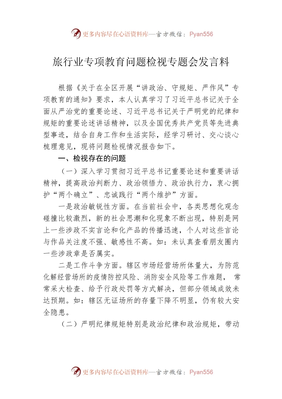 旅行业专项教育问题检视专题会发言料.docx_第1页