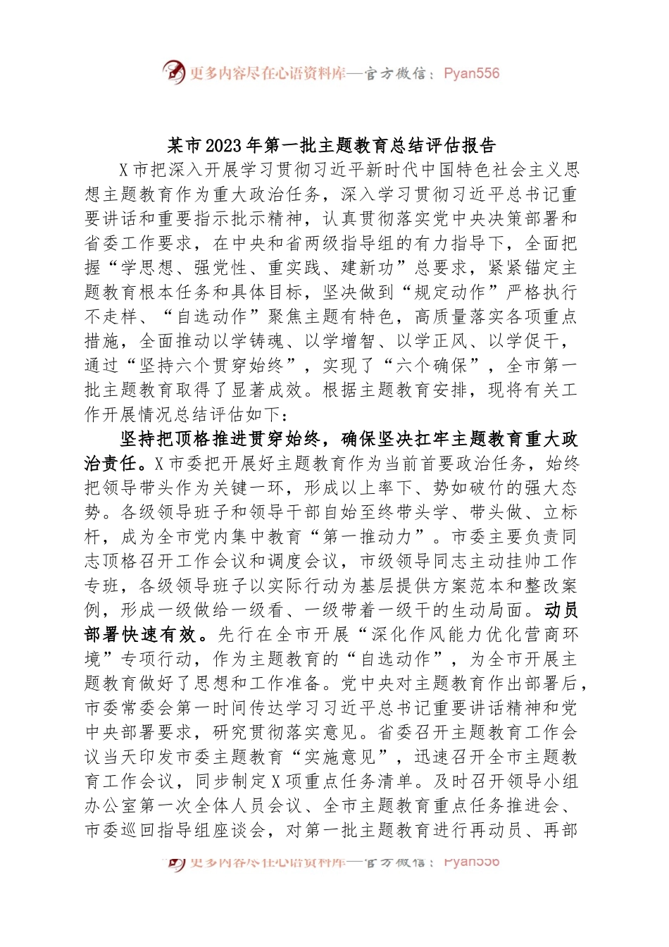 某市2023年第一批主题教育总结评估报告.docx_第1页