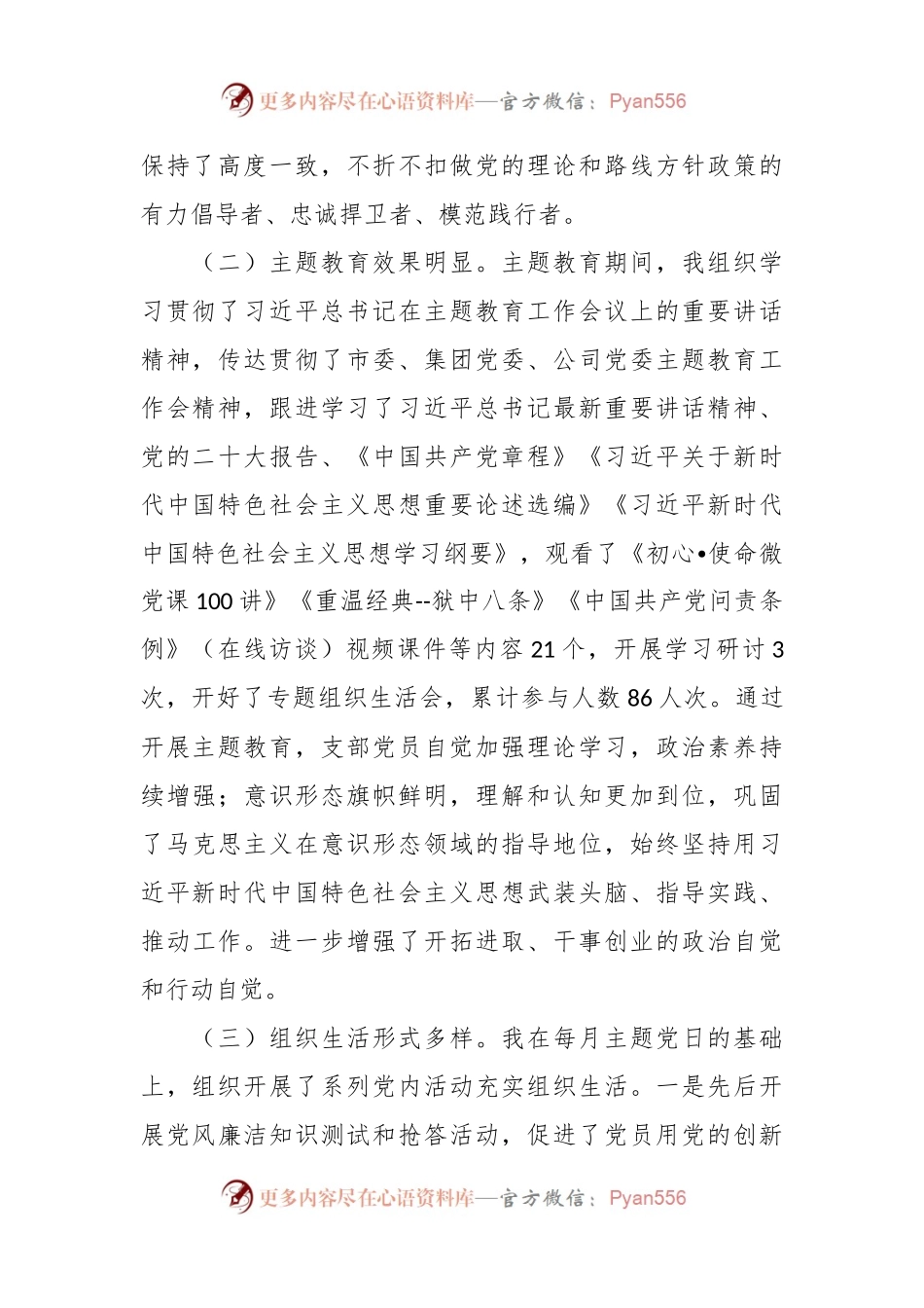 某国有企业党支部书记2024年抓党建述职报告.docx_第2页