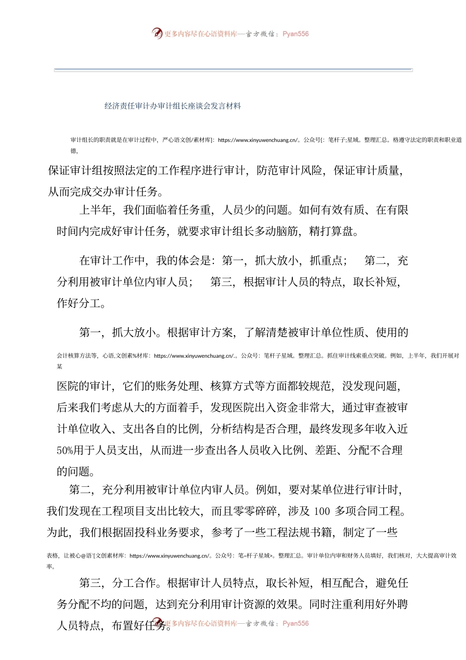 经济责任审计办审计组长座谈会发言材料.docx_第1页