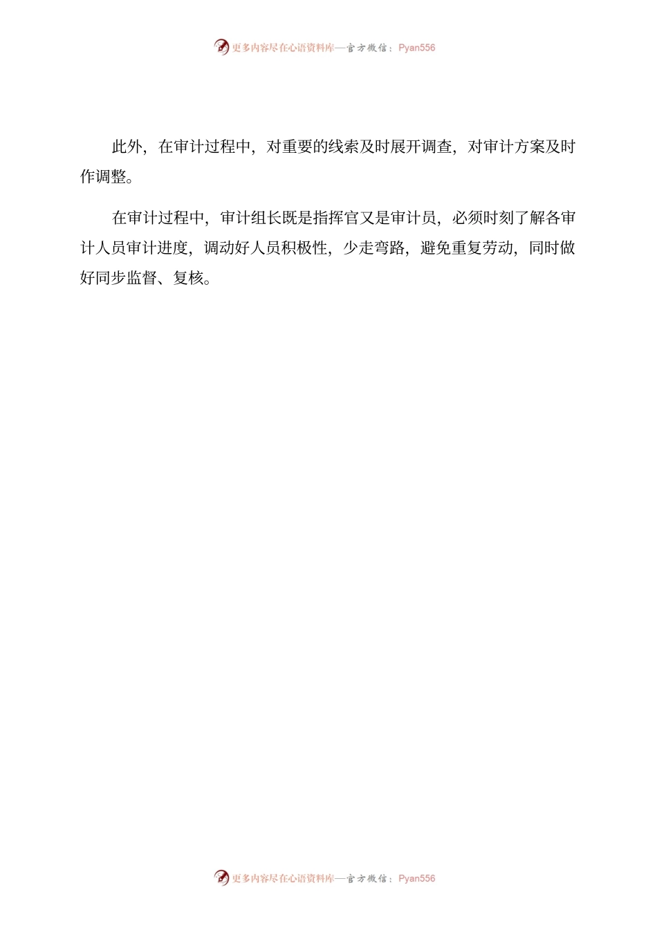 经济责任审计办审计组长座谈会发言材料.docx_第2页