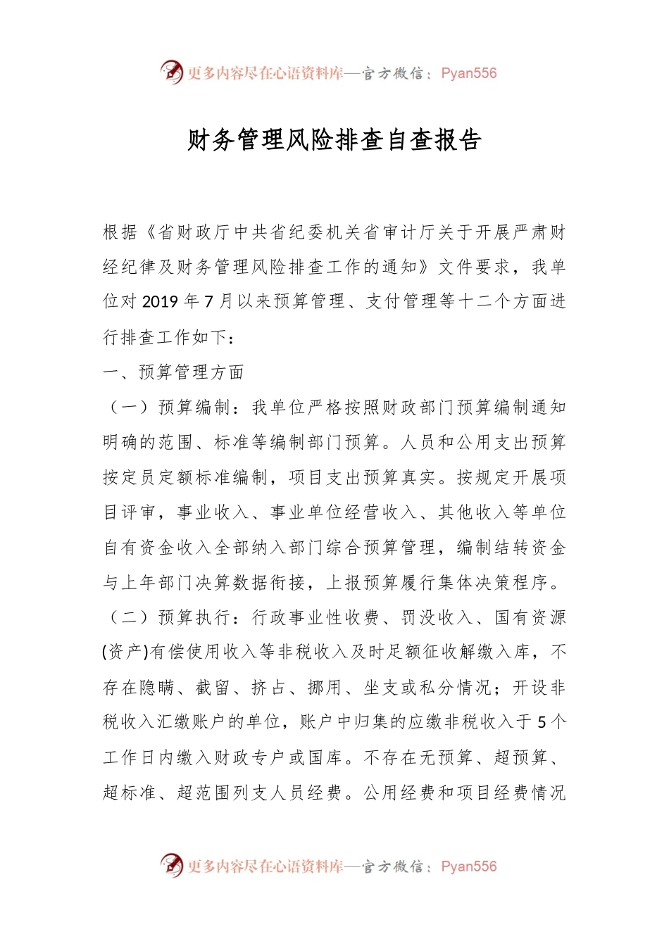 财务管理风险排查自查报告.docx_第1页