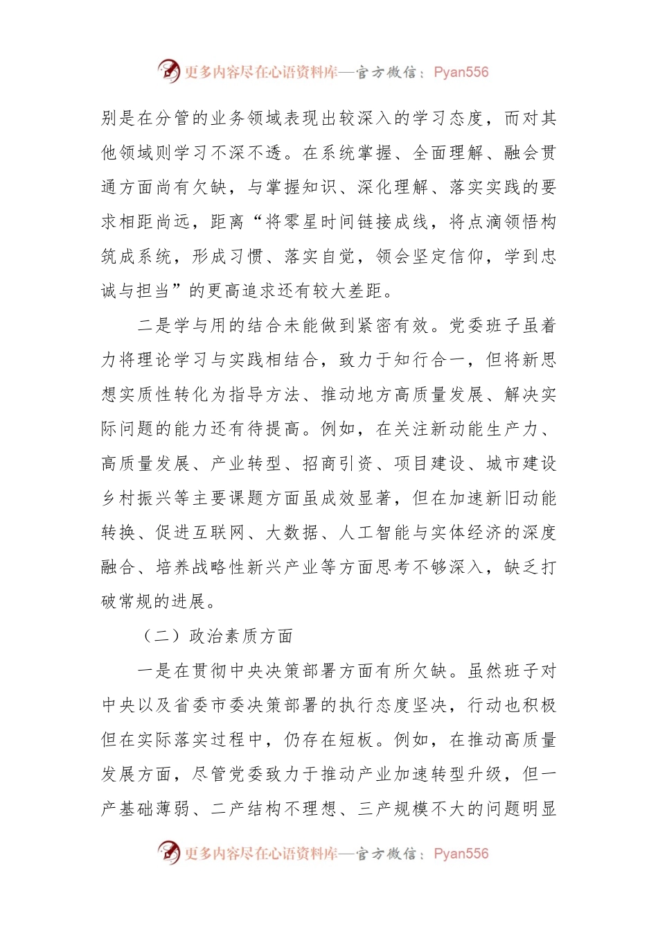 第二批主题教育专题民主生活会党委（党组）领导班子对照检查材料.docx_第2页