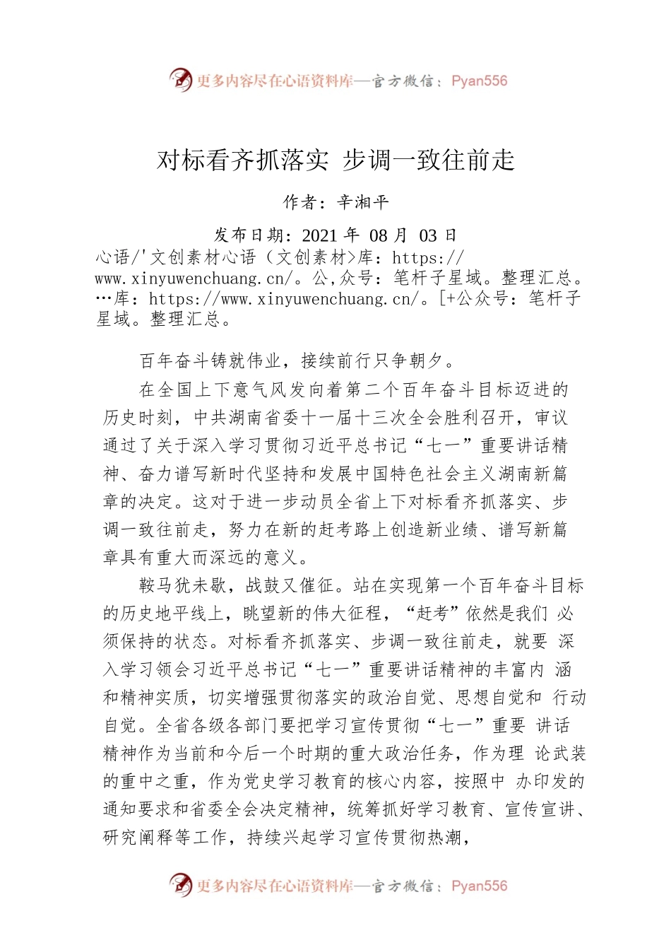 辛湘平：对标看齐抓落实 步调一致往前走.docx_第1页