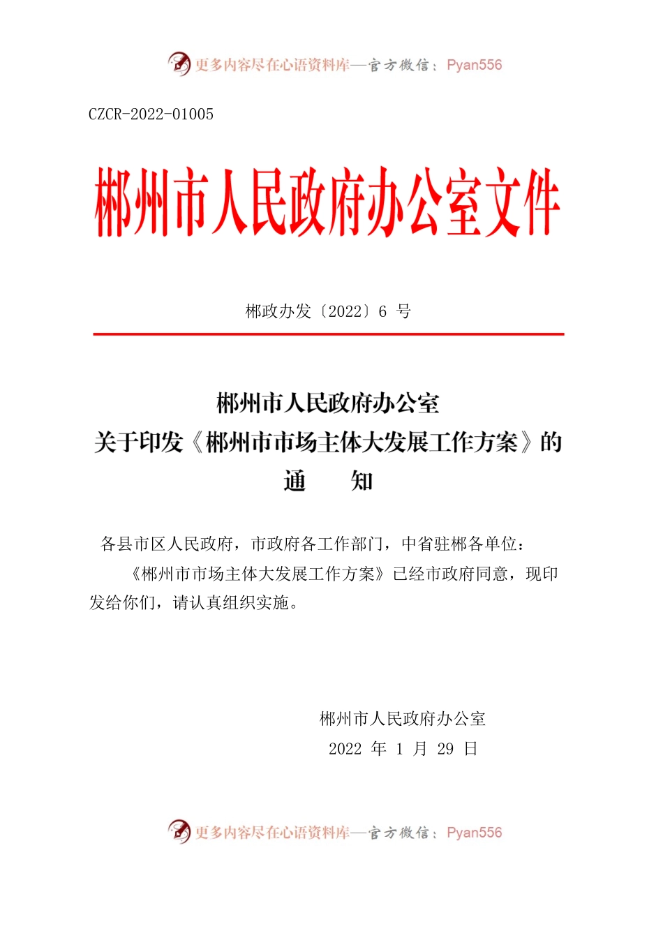 郴州市人民政府办公室关于印发《郴州市市场主体大发展工作方案》的通知.docx_第1页