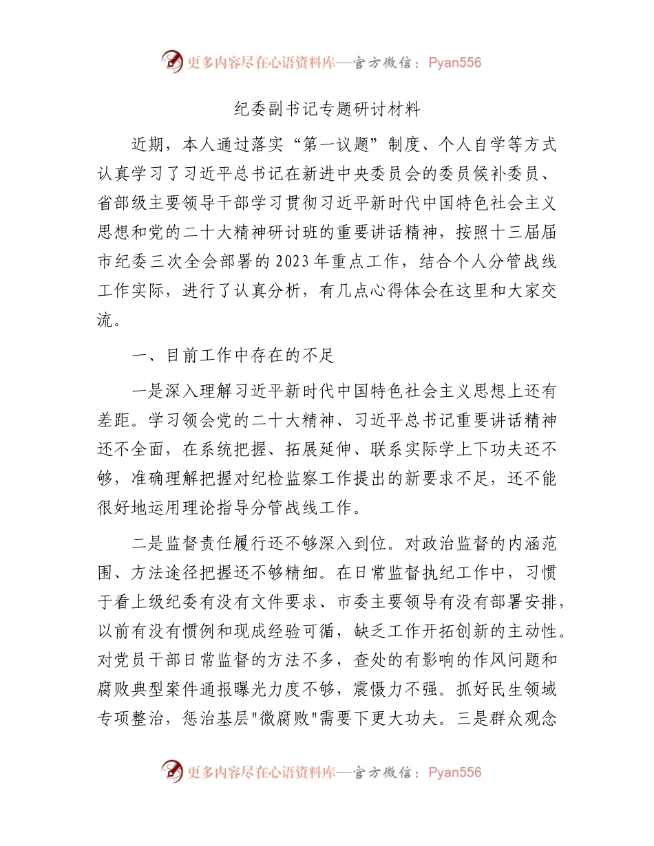 纪委副书记2023年专题研讨发言（个人剖析）.docx_第1页